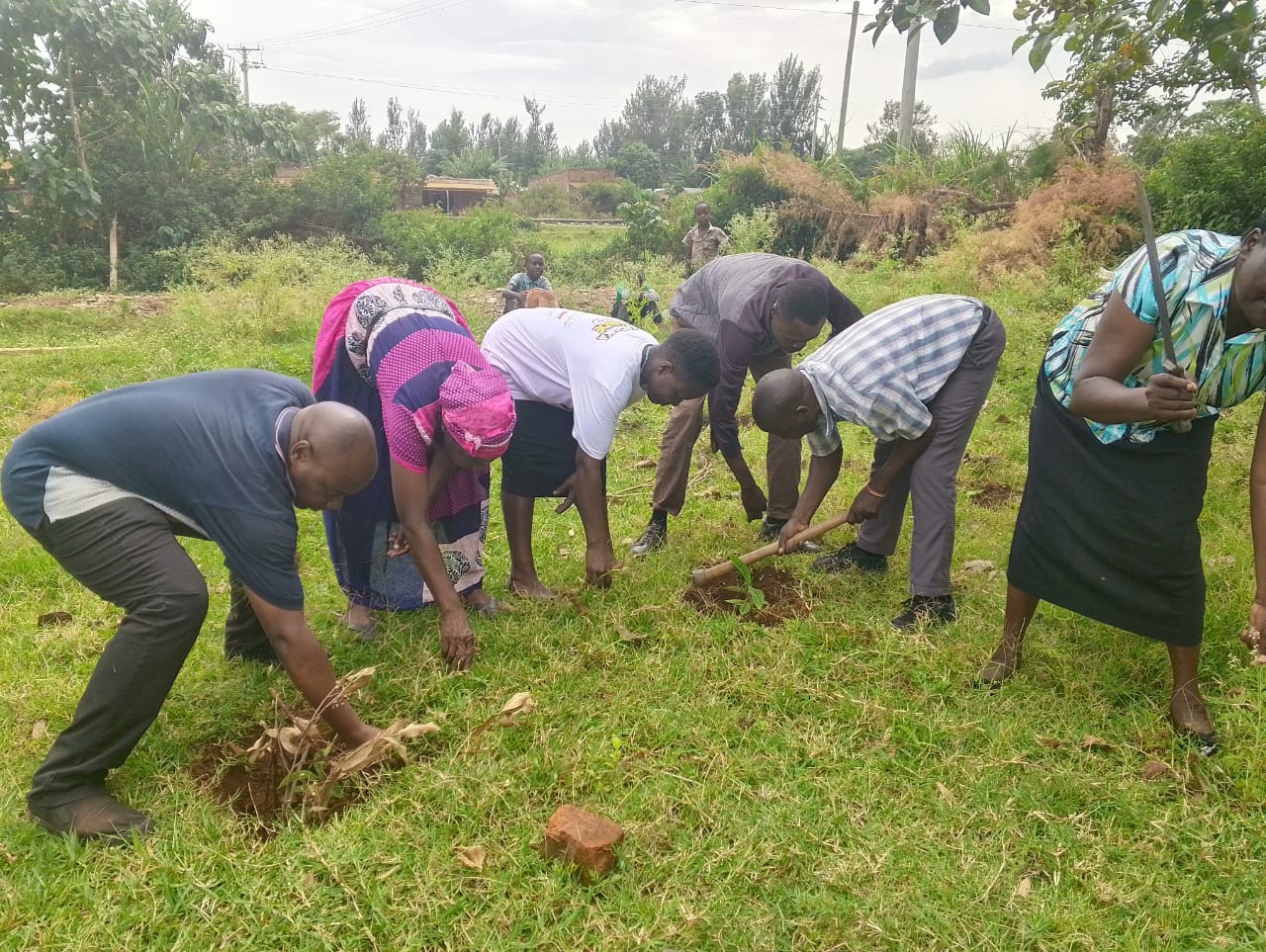 African community gathering under a tree